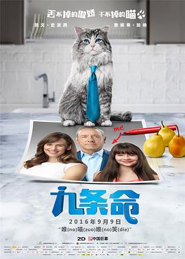 成全视频大全高清全集