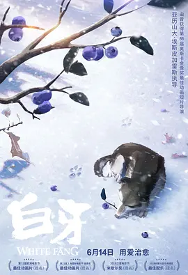 午夜久久国产